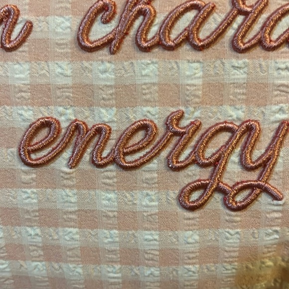 Stylehouse | “Main Character Energy” Gingham Embroidered Pillow - Picture 3 of 6